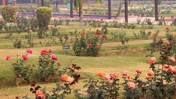 Rose Garden Delhi: Location, Connectivity, Nearby Places, How To Reach